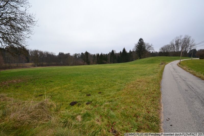 Naturbelassene Umgebung! Großzügige Wiesenfläche mit kleinem Waldanteil!
